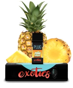 PLUGplay | PLUG™ EXOTICS: Piña Cooler Pod – 1.0g