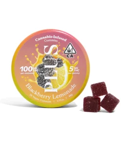 PLUS | Blackberry Lemonade Gummies – 100mg