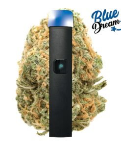 PLUGplay | JUSTplay™ Blue Dream All-in-One Pen – 1.0g