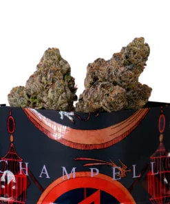 Champelli | Ropeium