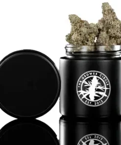 The Grower Circle | Rubber Donuts