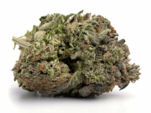 Alien OG