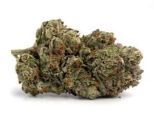 G13