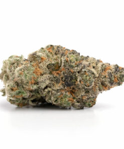 Gelato 33
