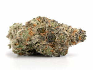 Gelato 33