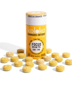 Kikoko Little Helpers Focus Mints (S)