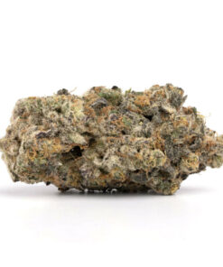 Sunset Sherbet