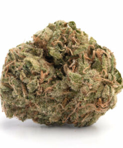 Mango Haze