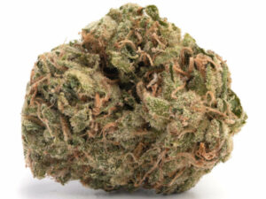 Mango Haze