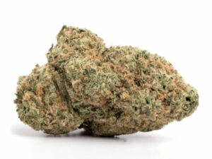 Girl Scout Cookies