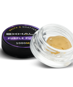 SHATTER – PURPLE PUNCH