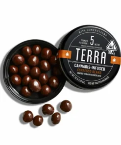 Terra Bites Chocolate Espresso Beans (H)