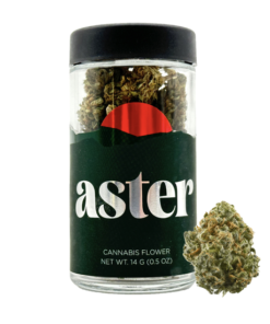 Aster Farms Grapesicle (H) - Smalls - 1/2 Ounce