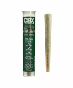 Cannabiotix (CBX) Grand Master (I) - Preroll
