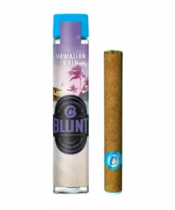 Cookies Hawaiian Rain (H) - Blunt
