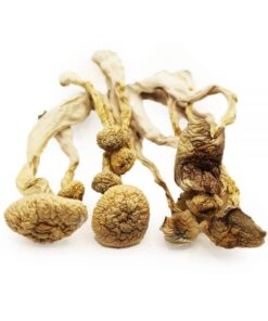 Buy Albino A+ Online